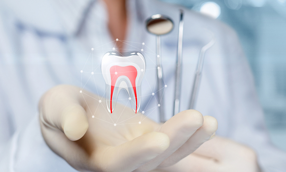 Top 5 Services You Can Expect from a Dentist in High Park